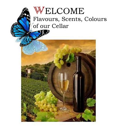 Welcome at Valle Erro Winery